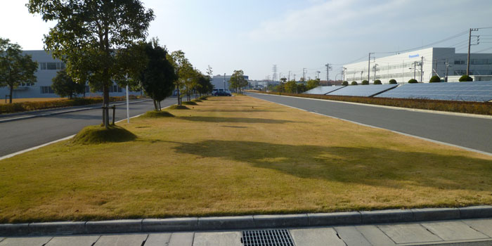 企業様の緑地管理